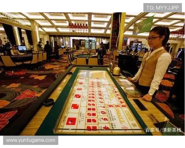 澳门合法运营的赌场牌照数量详细介绍，揭示澳门博彩行业的牌照发放情况与监管机制